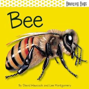 Bee Gees写真图片