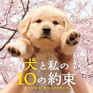 我和狗狗的十个约定写真图片
