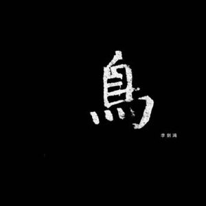 中国独家音乐写真图片