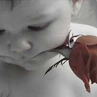 曉 菜頭图集