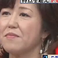 沢田知可子图集