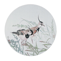 张晓星图集