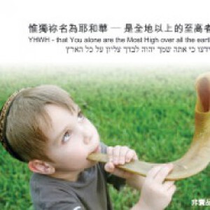 颂赞创作写真图片