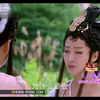 天天有喜图集