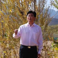 柳铁良图集