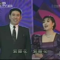 殷秀梅程志图集