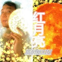 陈见新XIN图集
