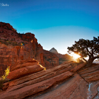 National Park[国家公园系列图集