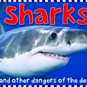 Sharks写真图片
