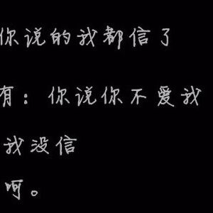 没说不爱你写真图片