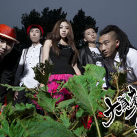 大买麦乐团图集