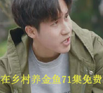 我在乡村养金鱼71集完整版免费观看