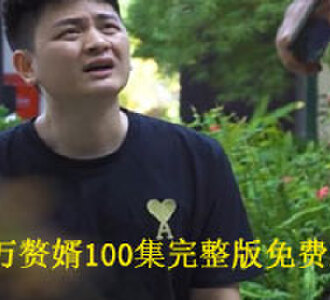 亿万赘婿100集完整版免费观看
