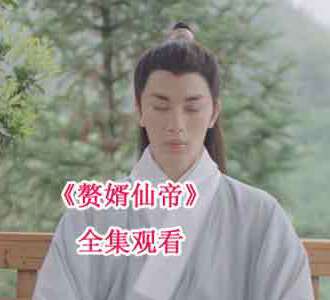 赘婿仙帝全剧75集在线观看