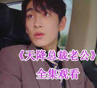 天降总裁老公全剧100集在线观看