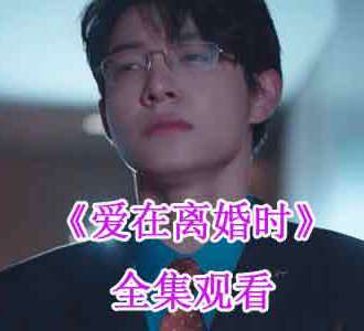 爱在离婚时短剧免费观看