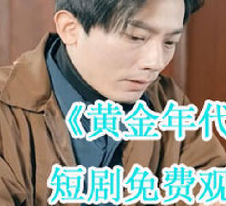 黄金年代李向东电视剧全集