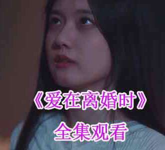 爱在离婚时电视剧全集免费观看