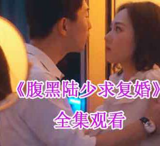 腹黑陆少求复婚全剧73集在线观看