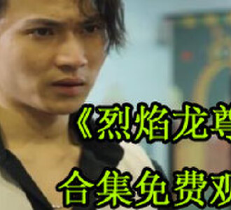 烈焰龙尊100集电视剧全集