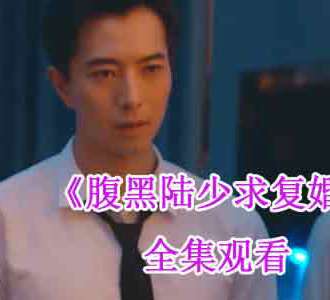 腹黑陆少求复婚大结局