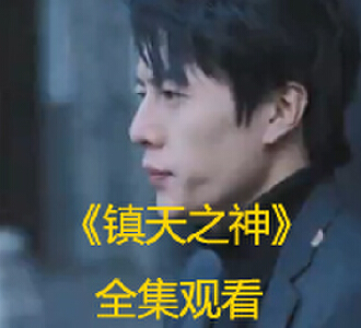 镇天之神1-30集完整版免费观看