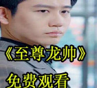 至尊龙帅100集全集完整版