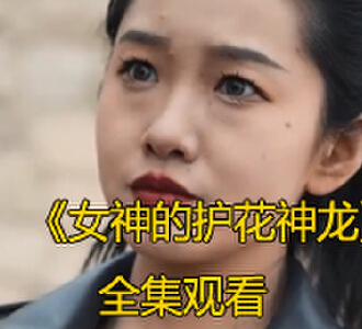 女神的护花神龙1-100集免费观看