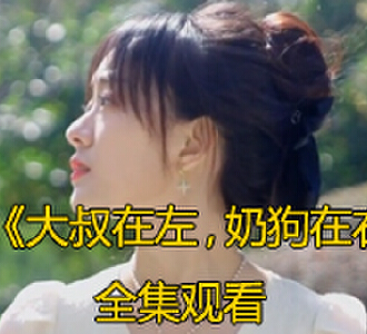 大叔在左奶狗在右80集全集免费观看