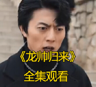 龙帅归来1-60集免费观看完整版