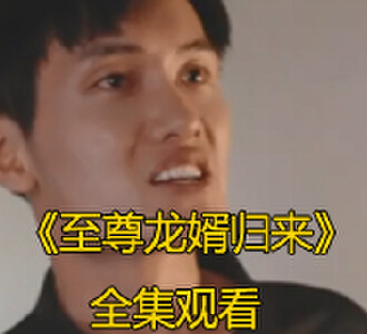 至尊龙婿归来101集免费版完整观看