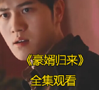 豪婿归来电视剧完整版免费观看