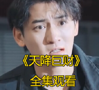 天降巨财100集完整版免费观看