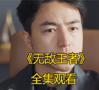 无敌王者96集完整版免费观看