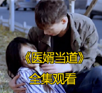 医婿当道1-100集全集完整版免费看