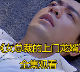 女总裁的上门龙婿在线100集免费观看