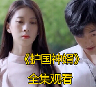 护国神婿电视剧全集免费观看