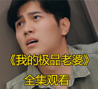 我的极品老婆电视剧网剧在哪看