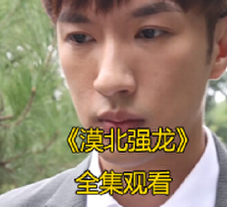 漠北强龙84集完整版免费观看