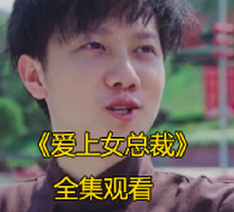 爱上女总裁1-100集在线观看完整版