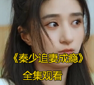 秦少追妻成瘾全集完整版免费观看