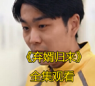 弃婿归来98集完整版免费观看