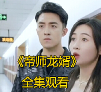 帝师龙婿1-100集大结局免费看