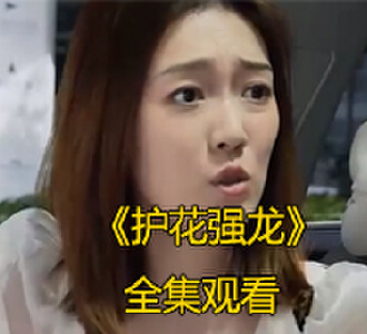 护花强龙90集全集完整版免费观看