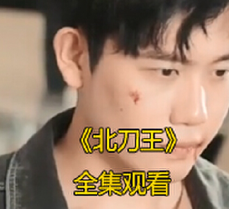 北刀王1-100集完整版免费观看