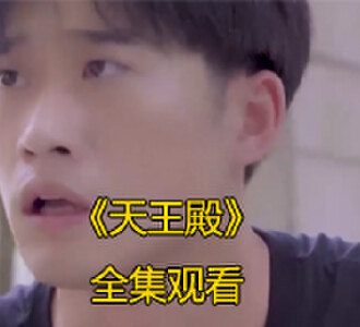 天王殿100集全集完整版免费观看