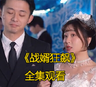 战婿狂飙100集完整版免费看