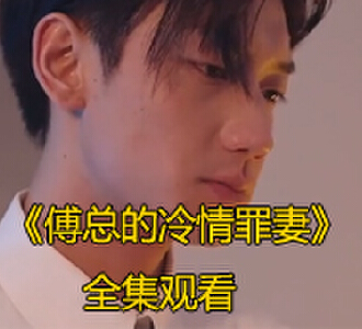 傅总的冷情罪妻大结局免费观看