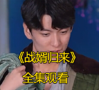 战婿归来全集完整版免费观看