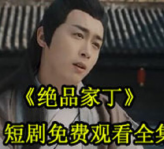 绝品家丁28集免费看全集